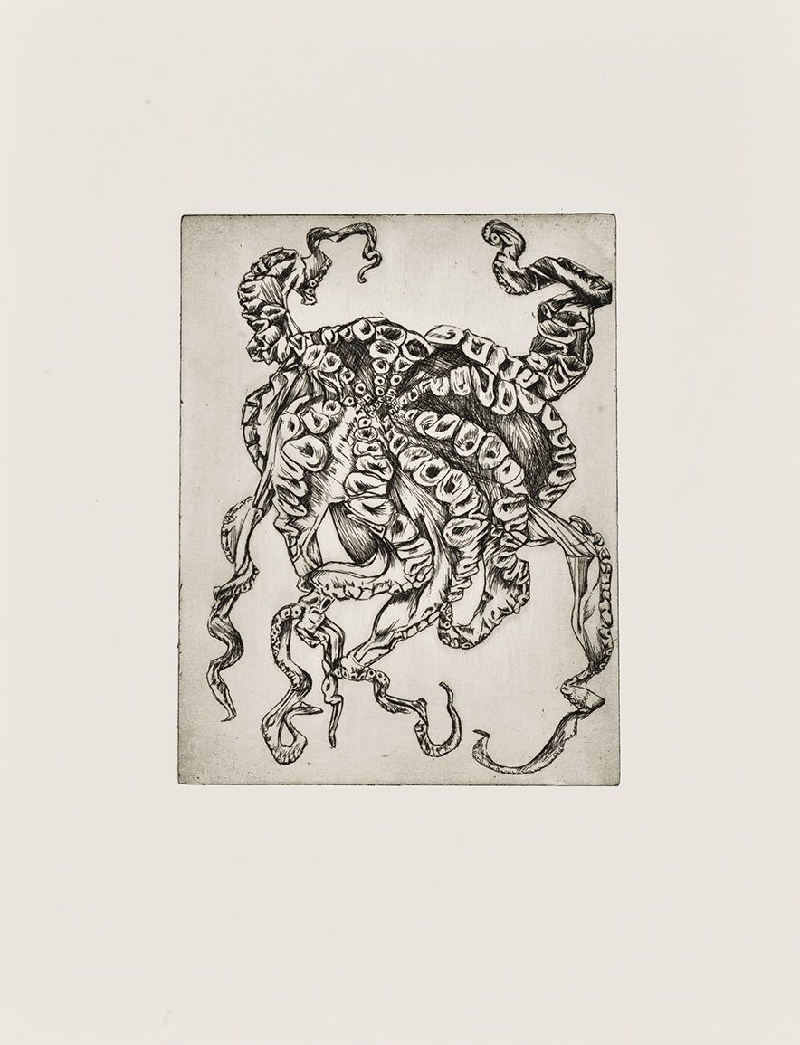 In Jars - Octopus